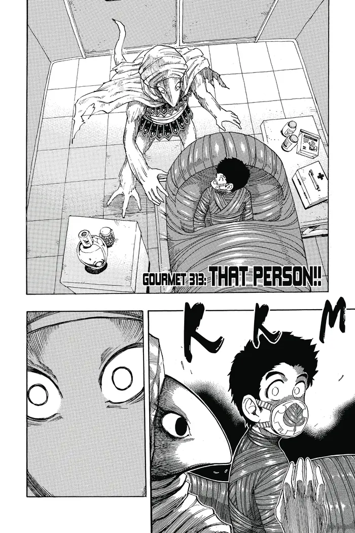 Toriko Chapter 313 image 02_optimized